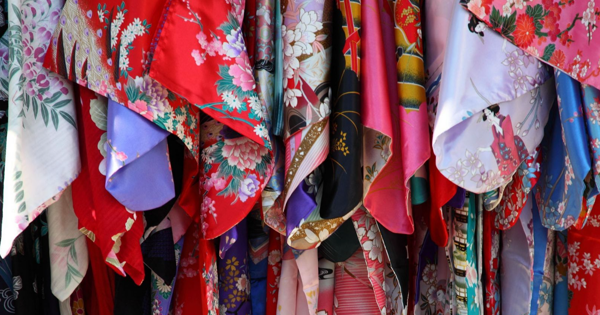 Meaning of the plants and animals depicted on the kimono.